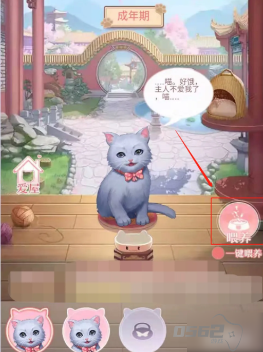 后宫秘史怎么喂出大猫 爱江山更爱美人（后宫秘史）如何养宠物